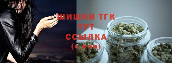 гидра Переславль-Залесский