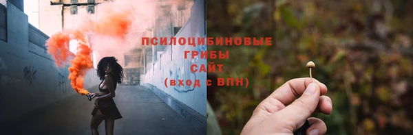 jwh Пересвет
