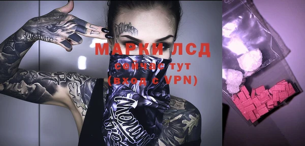 a pvp Алзамай