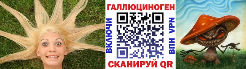 Псилоцибиновые грибы GOLDEN TEACHER  Дзержинский 