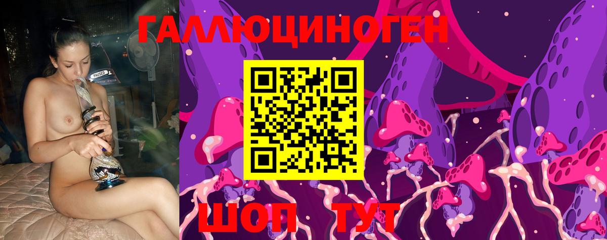 Галлюциногенные грибы Psilocybe Дзержинский